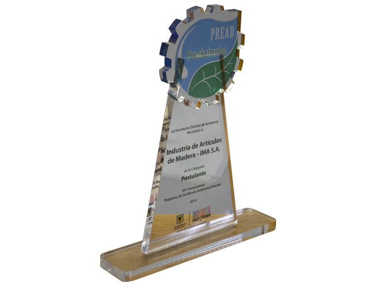 Reconocimiento